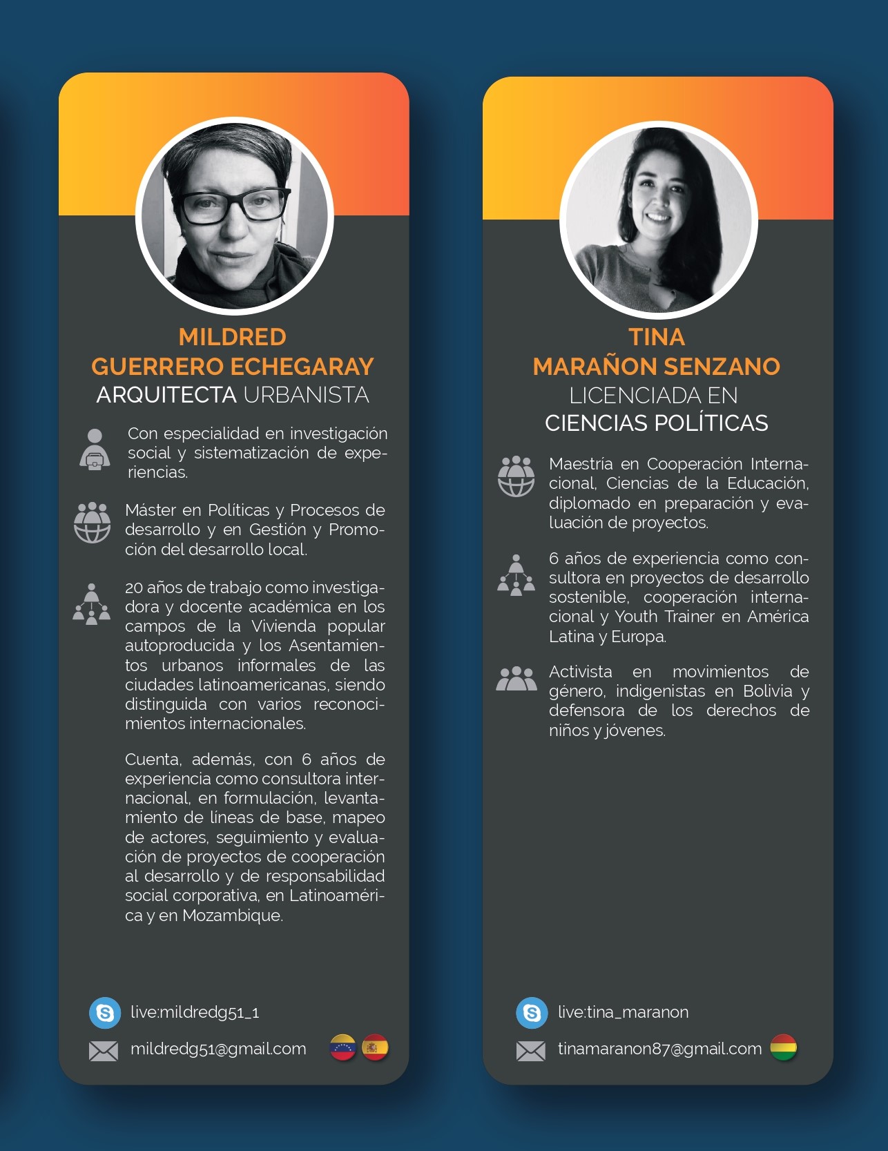 PERFIL EVALUADOR_FINAL_pages-to-jpg-0002